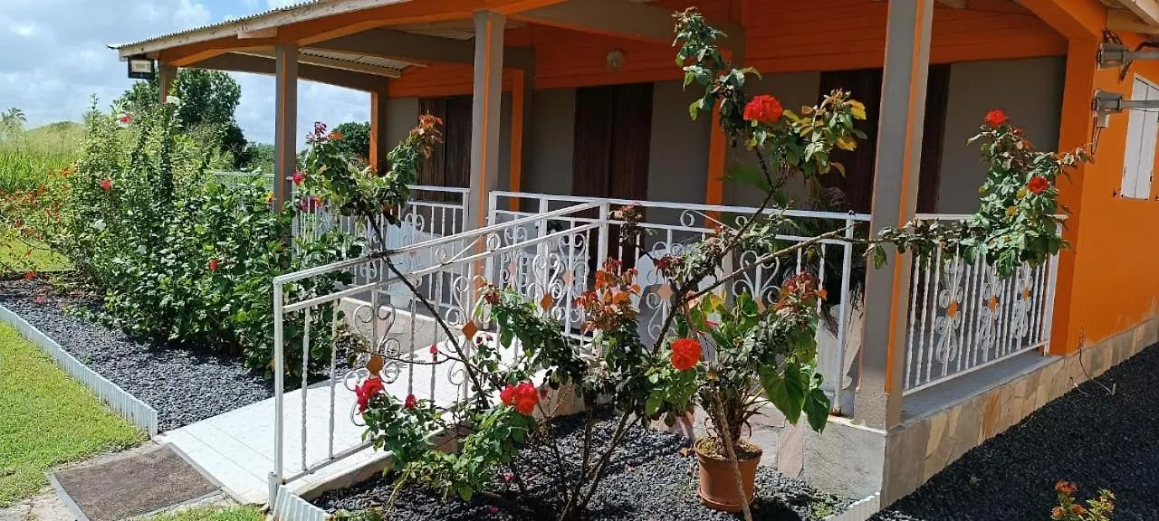 Hébergement de vacances Gîte Poz Kreyol Port-Louis Guadeloupe