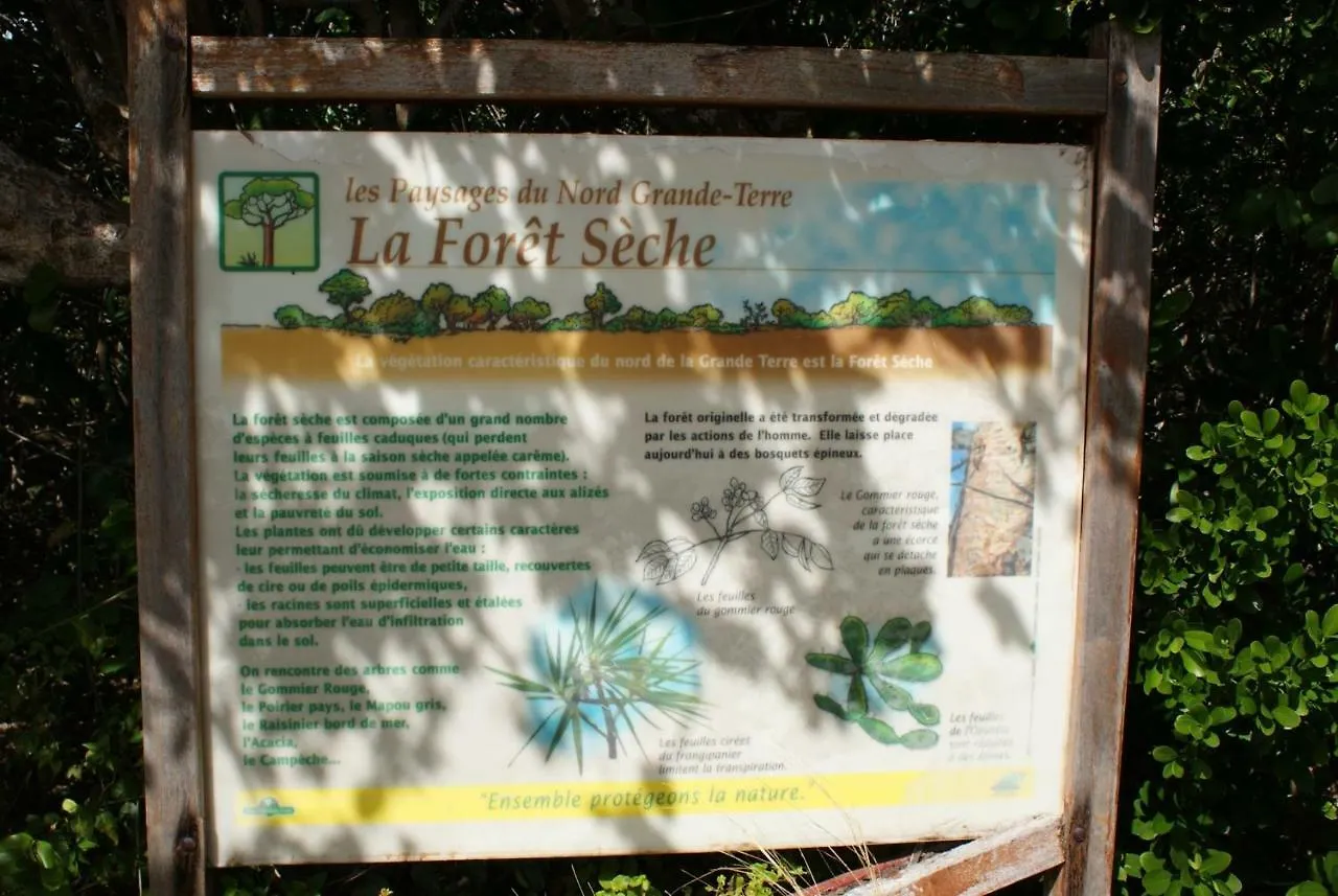 Gîte Poz Kreyol Port-Louis Guadeloupe
