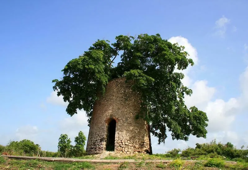 Gîte Poz Kreyol Port-Louis Hébergement de vacances